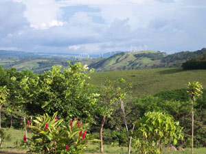 The view to the windmill-topped hils.