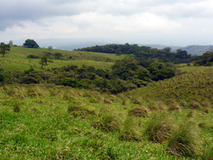 The productive grasslands are a rich green year-round.