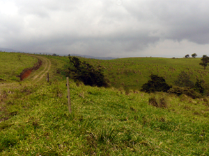 An easy internal road leads inward from the paved highway.