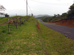 The finca is right beside the paved road just above the village of Sabalito.