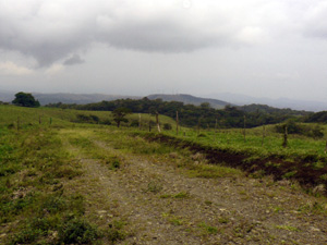 The internal road curves slightly upward to the level top of the finca.