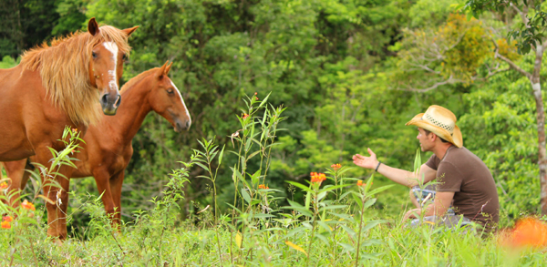 Shown here are two of the 4 horses that come with the finca. There are also cows, goats, and checkens.