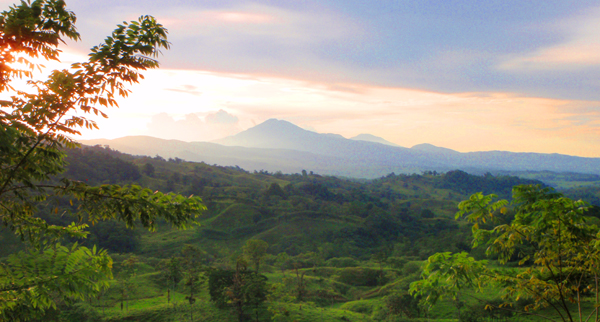 The three dormant volcanos Tenorio, Miravalles, and Rincon de La Vieja are northwest of the finca. 