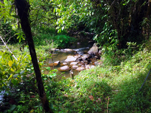 Another small stream provides water for the extensive agriculture. 