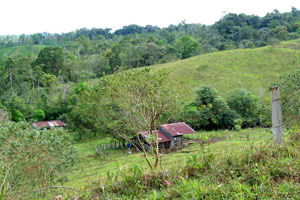 The current owners plan to build a community center on the site of the present old farmhouse (barely visible to far left) and small barn.