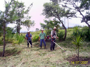 Workmen cut grass with weedwhackers in another open area. 