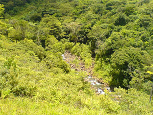 The Rio Aguacate runs through the proprty.