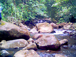 Th Aguacate River is shaded by indigenous trees through most of its length.