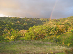 A rainbow enhances the beauty of the scenery.