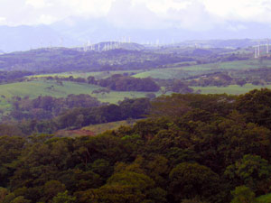 A thick forest reserve is nearby.