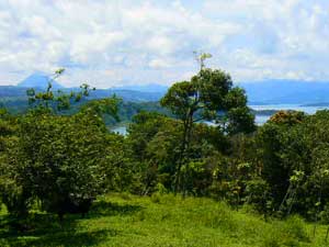 Lake Arenal is part of the wonderful vistas from this property.