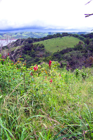 Here's a nice homesite with a great vista of rolling hills, forest, and lake.