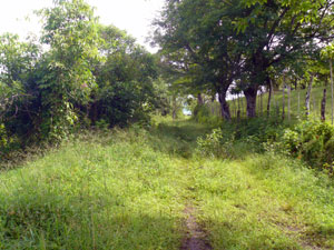 The internal road joining the lower and upper public roads.