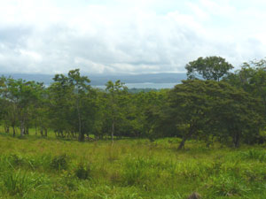 A view of the lake from a pasture beside the property.