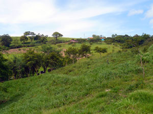 A neighboring farm with home of American residents beyond the farm.