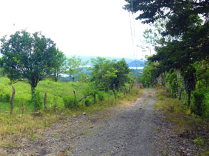 The road to the property ascends from the paved Tronadora road and the unpaved road to the village of Chimurria.