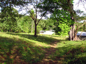 The ranch house and barn are at the east end of the property not far from the paved highway that runs down the center of the Nicoya Peninsula. 