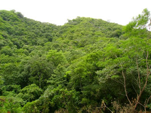 To the west, the hills rise up into the National Forest Reserve Diria.