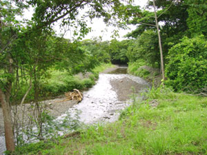 A river borders much of the north sideof the finca and then curls around the east end and briefy along the south side before heading south itself.