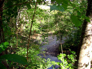 A strem runs from the forested wested hills at the west end of the property all the way to the east end and beyond.