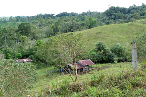 A small caretaker's house, a corral, and a pig shed are the only buildings now. 