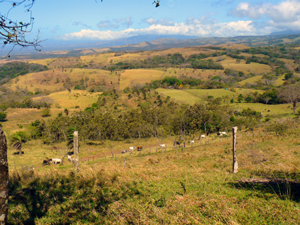 Pastures and forest extend for miles toward the bajura, the lowlands.