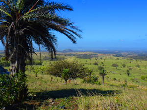 The view from the casita.