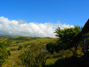 Ranch homes can be seen on finca after finca toward the north.