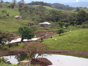 A 2BR farm house and outbuildings have a gorgeous setting above the pond.