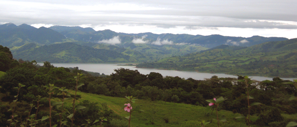 There are many places on the two fincas with excellent views of Lake Arenal as well as of Arenal Volcano.