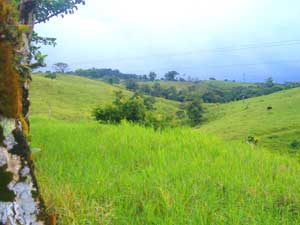 Acreage for sale at Lake Arenal, Costa Rica