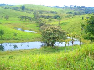 Acreage for sale at Lake Arenal, Costa Rica