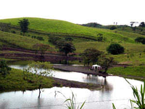 A vacation canopy sheltered by a few trees shelters persons enjoying the pond