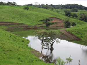 A beautiful pond fills the complex small valley amid sloping pastures on scenic  hills.