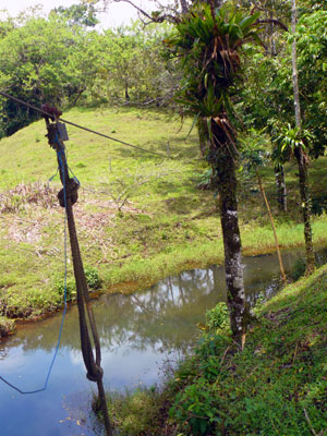 A canopy cable is rigged across one of the three ponds.