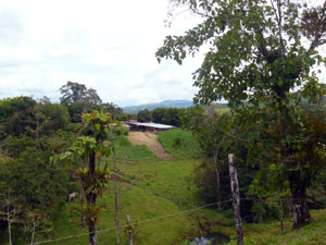 From the second ridge here's a view of the distant working lecheria.