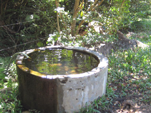 Pure spring water serves the animals as well as the home.