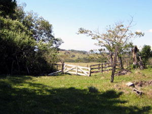 A gate leading past woods to a level pastures on the large finca.