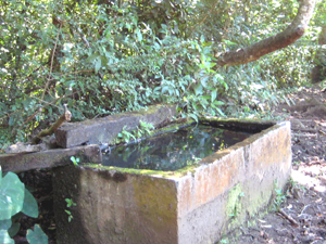 Here is another large water trough brimming with pure spring water.