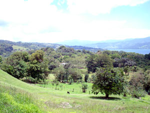 Lake Arenl comes into view as you climb above the forest. 