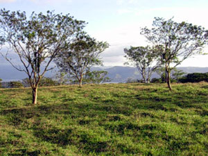 There's great variety to the pastured and wooded terrain. 