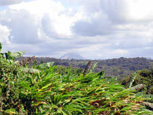 Arenal Volcano enriches the panoramic vistas.