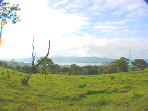 The 55 acres has many views of Lake Arenal. 