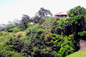 A neighbor across the highway, sits beside the road to La Cabanga and Guatuso. 