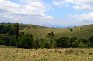 Fields, forests, rolling hills, Lake Arenal and Arenal Volcano make terrific panoramas in every direction. 