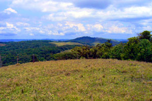 The ranch stretches over rolling hills with forest and pasture.