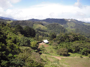 The combination rancho, garage and apartment building is largely surrounded by indigenous forest. 