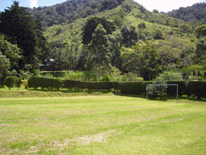 Pastures and forest occupy the mountainside above the soccer field. 