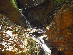 A pretty stream cascades down a rocky section of the finca.