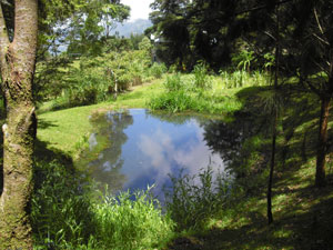 A lovely pond centers a partially landscaped area. 